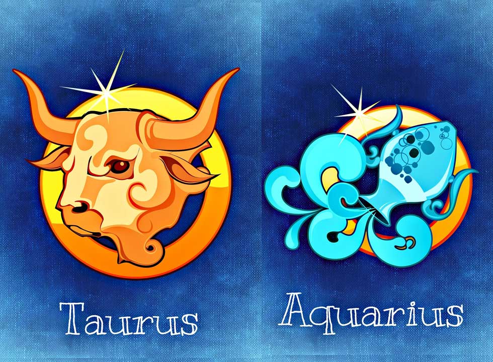 Aquarius Taurus Compatibility 