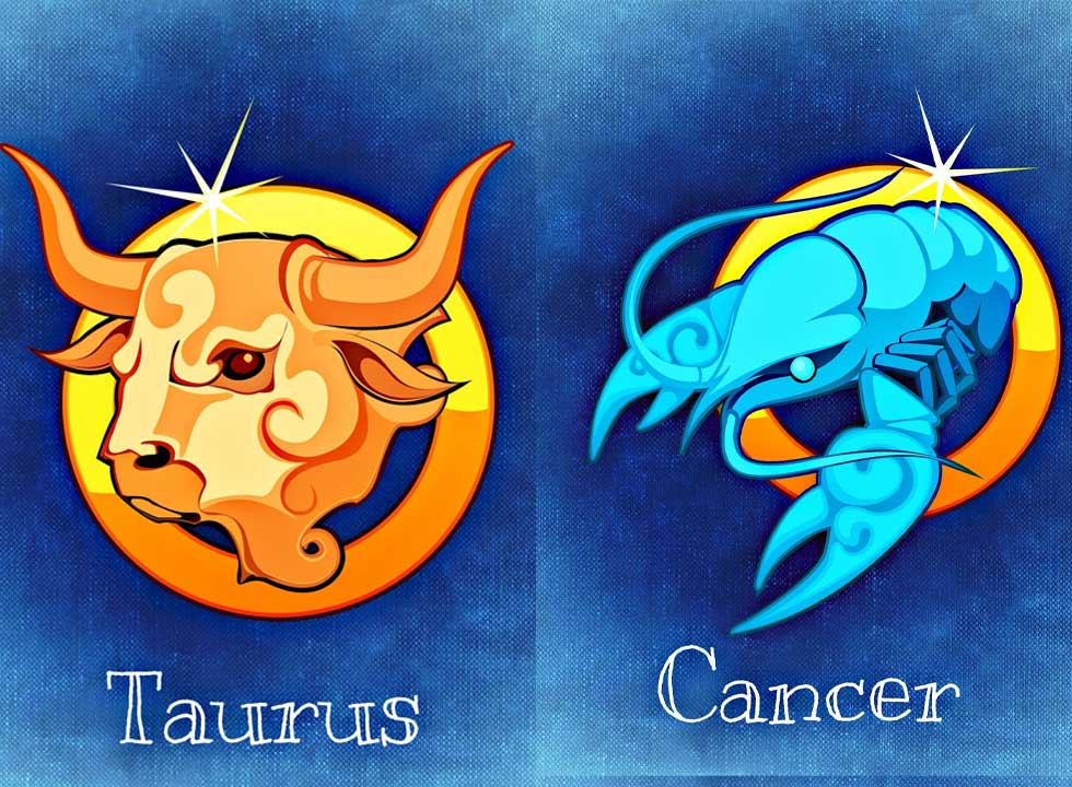 Taurus Cancer Compatibility 